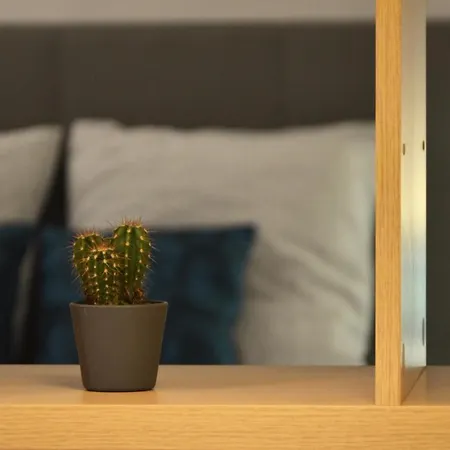 Cosy And Quiet In * 칸느